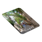 Capri. 5 magnet (Rechte Seite)