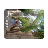 Capri. 5 magnet (Horizontal)