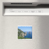 Capri Magnet (In Situ (Geschirrspüler))