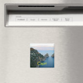 Capri-Magnet Magnet (In Situ (Geschirrspüler))