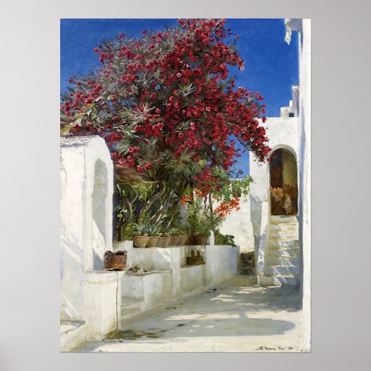 Capri - Oleanders in bloom, Peder Severin Krøyer Poster (Vorne)
