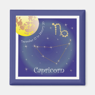 Capricorn 22. Dezember bis 20. Januar Magnet