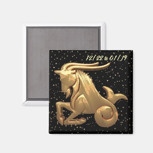 Capricorn Astrologie 2 Magnet (Vorderseite/Rückseite)