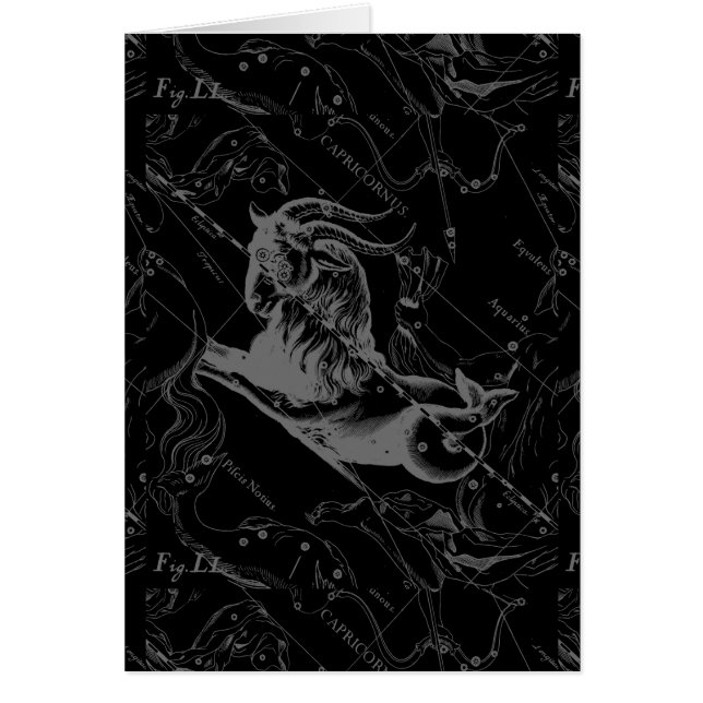 Capricorn Constellation Hevelius 1690 auf Schwarz (Vorne)