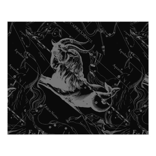 Capricorn Constellation Hevelius 1690 auf Schwarz Fotodruck (Vorne)