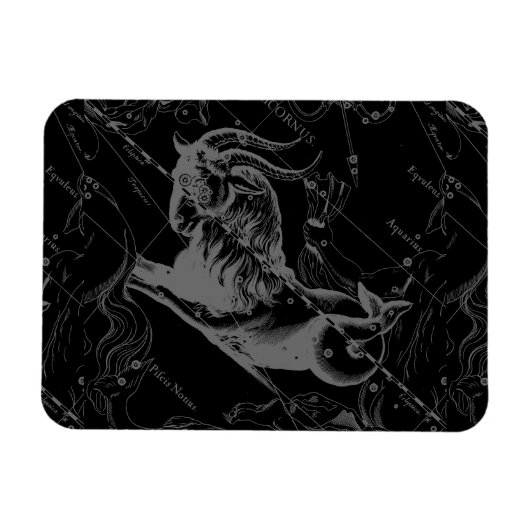 Capricorn Constellation Hevelius 1690 auf Schwarz Magnet (Horizontal)