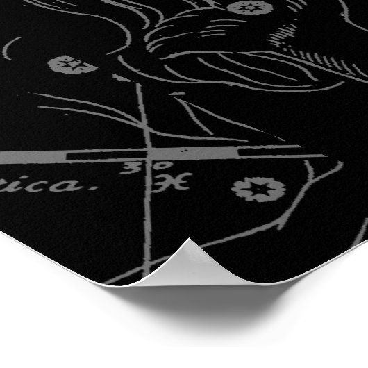 Capricorn Constellation Hevelius 1690 auf Schwarz Poster (Ecke)