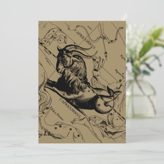 Capricorn Constellation Hevelius 1690 auf Taupe (Stehend Vorderseite)