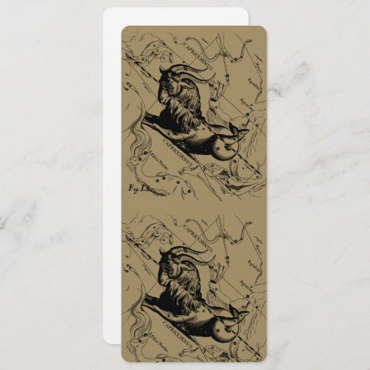 Capricorn Constellation Hevelius 1690 auf Taupe (Vorne/Hinten)