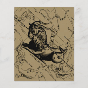 Capricorn Constellation Hevelius 1690 auf Taupe Flyer
