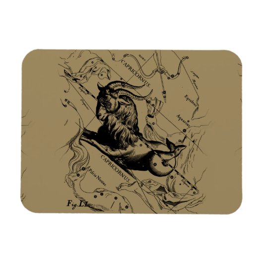 Capricorn Constellation Hevelius 1690 auf Taupe Magnet (Horizontal)