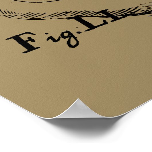 Capricorn Constellation Hevelius 1690 auf Taupe Poster (Ecke)