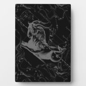 Capricorn Constellation Hevelius 1690 Gravur Fotoplatte (Vorderseite)