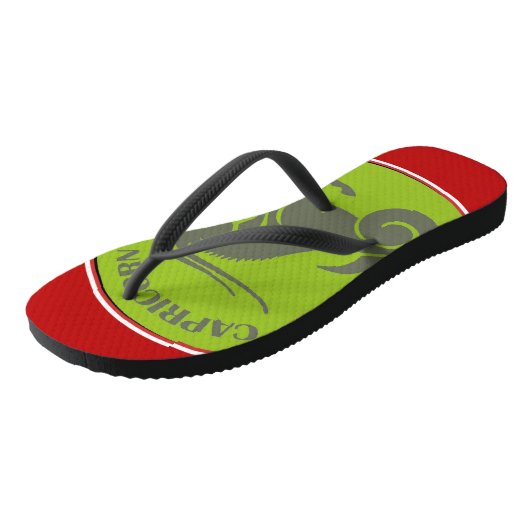 Capricorn Flip Flops Badesandalen (Schrägansicht)
