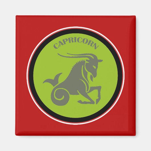 Capricorn Magnet (Vorne)
