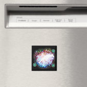 Capricorn Magnet (In Situ (Geschirrspüler))