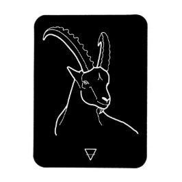 Capricorn Magnet