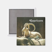 Capricorn Magnet! Magnet (Vorderseite/Rückseite)