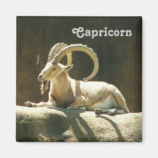 Capricorn Magnet! Magnet (Vorne)