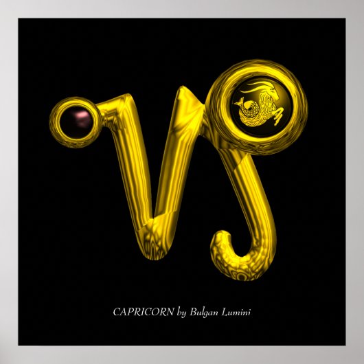 CAPRICORN POSTER (Vorne)