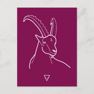 Capricorn Postkarte