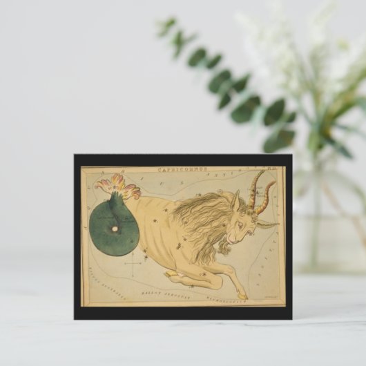 Capricorn Postkarte (Stehend Vorderseite)