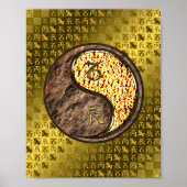 Capricorn und Feuerdrache Poster (Vorne)