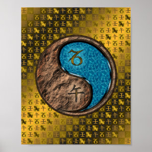 Capricorn und Wasserpferd Poster