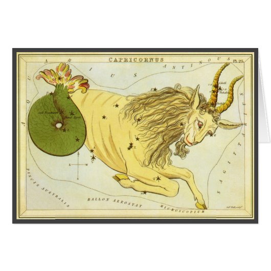 Capricorn Vintag Constellation, Urania-Spiegel (Vorderseite (Horizontal))
