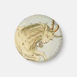 Capricorn, Zehnte astrologische Zodiaka-Zeichen Magnet