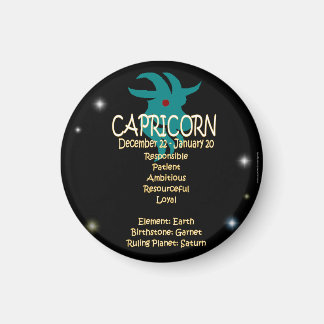 Capricorn Zodiac Magnet