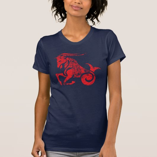 Capricorn Zodiac Sign Grunge Dec 22 - Januar 19 T-Shirt (Vorderseite)