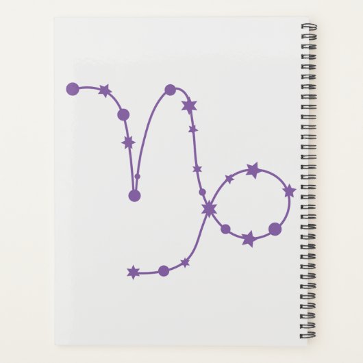 Capricorn Zodiac Signature Calendar Plane Planer (Rückseite)