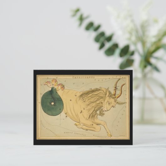 Capricornus (Capricorn) Postkarte (Stehend Vorderseite)