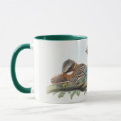 Caprimulgus Ruficollis Tasse (Links)