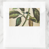 Capsicum Annuum Bell Pepper Rechteckiger Aufkleber (Tasche)