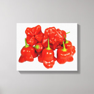 Capsicum Chinense Chili Stretched Canvas Print Leinwanddruck