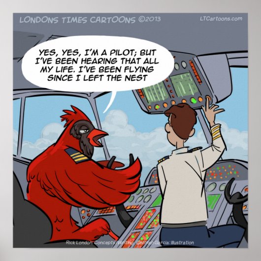 Captain Byrd Kardinal Pilot Flies Jet Funny Poster (Vorne)