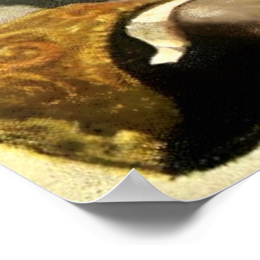 "Captain Nemo of the Nautilus" von NC Wyeth Poster (Ecke)