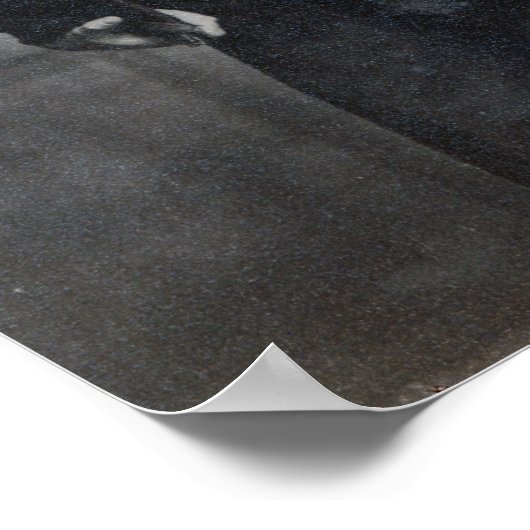 Captain Robert Falcon Scott Poster (Ecke)