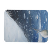 Captain Scott Antarktis erster Aeronaut. 4. Magnet (Horizontal)