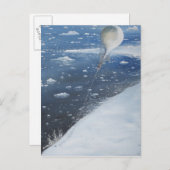 Captain Scott Antarktis erster Aeronaut. 4. Postkarte (Vorne/Hinten)