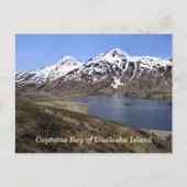 Captains Bay of Unalaska Island Postkarte (Vorderseite)
