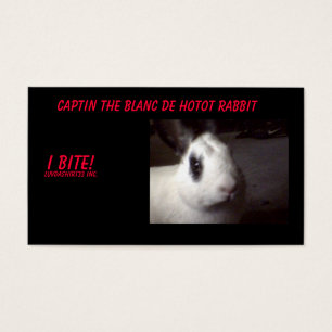 captin001, Captin Blanc De Hotot Rabbit, I…