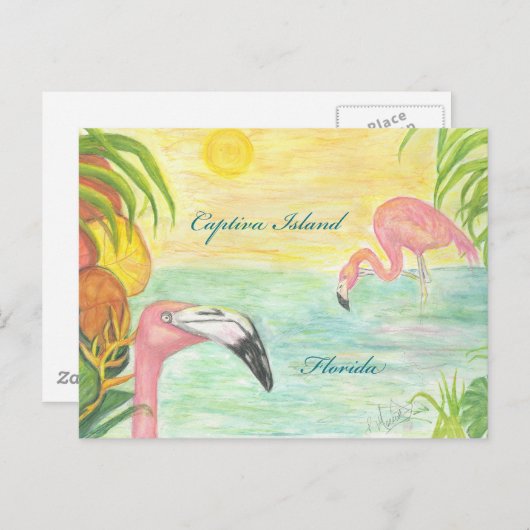 Captiva Island Flamingos Postkarte (Vorne/Hinten)