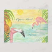 Captiva Island Flamingos Postkarte (Vorderseite)