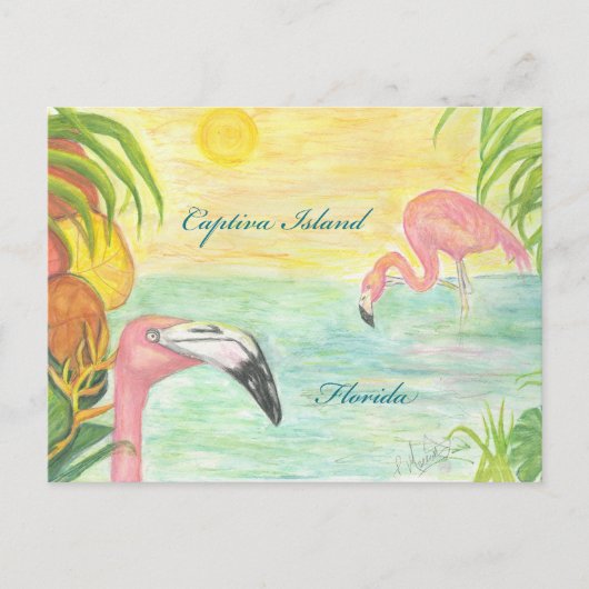Captiva Island Flamingos Postkarte (Vorderseite)