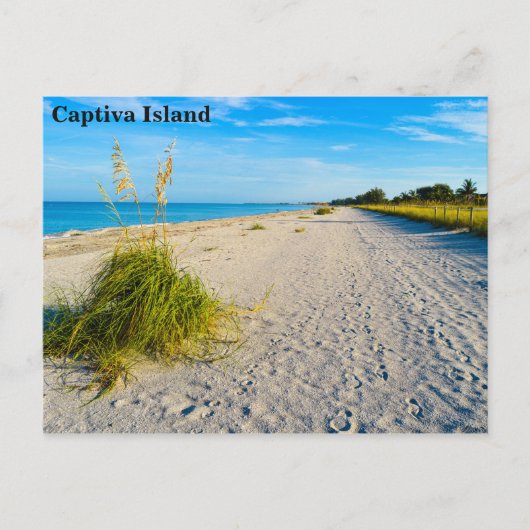 Captiva Island Postkarte (Vorderseite)