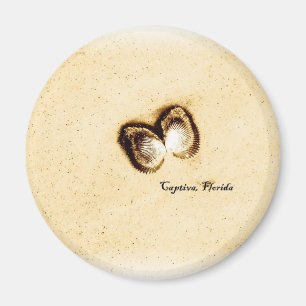 Captiva Muschel-Magnet Magnet