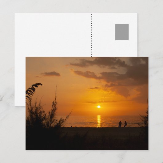 Captiva Sunset Postcard Postkarte (Vorne/Hinten)